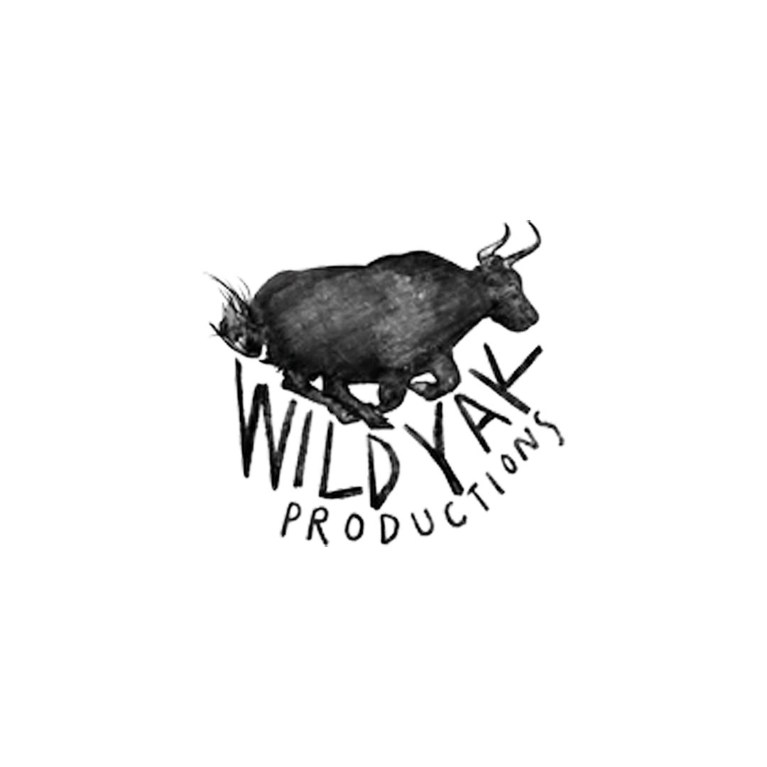 Wild Yak